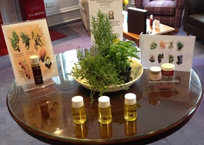 Clarins Display | Sitting Pretty Skipton